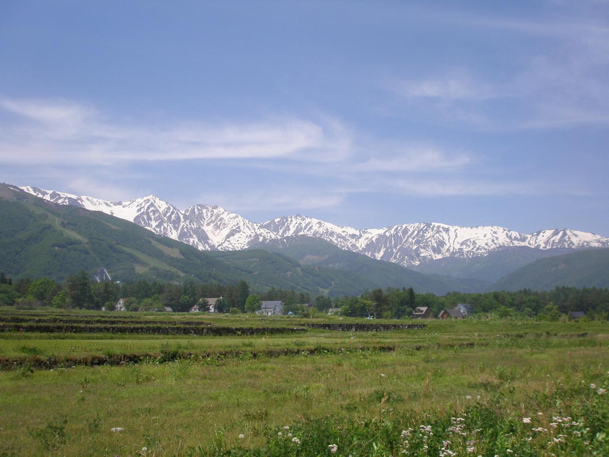 하쿠바 Alpine Wind B&B 외부 사진